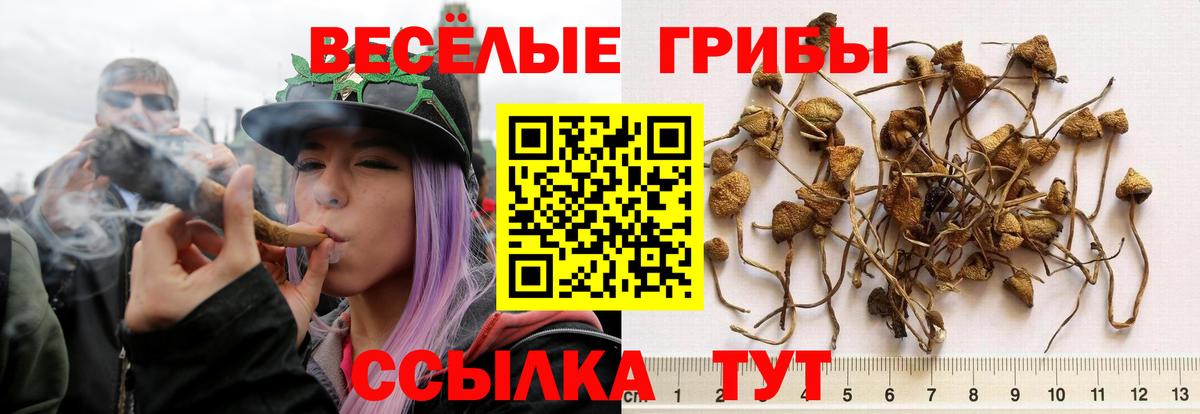 Псилоцибиновые грибы MAGIC MUSHROOMS Ноябрьск